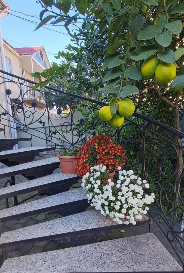 House On Ganja Street Ξενοδοχείο Κουτάισι Εξωτερικό φωτογραφία